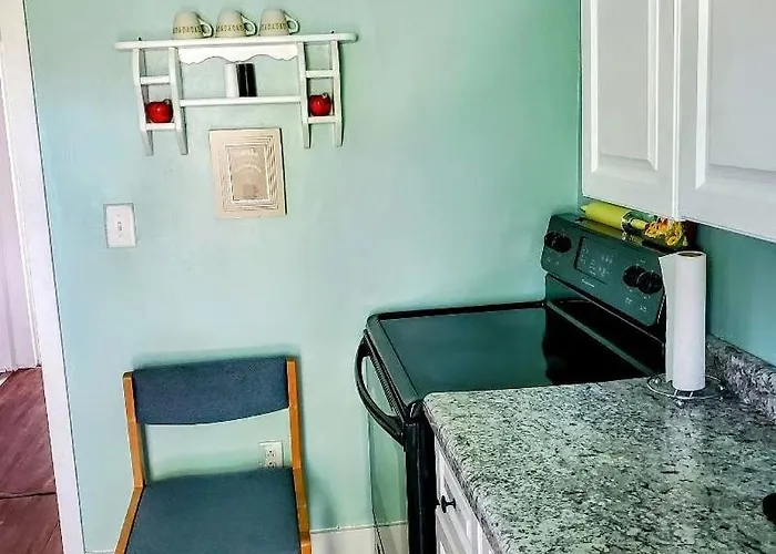 Pet-friendly Historic 4br In Illinois * Lynn Center