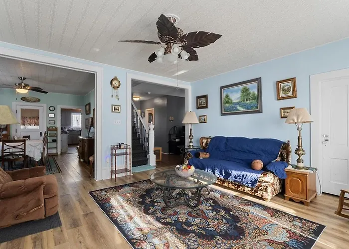 Pet-friendly Historic 4br In Illinois Lynn Center